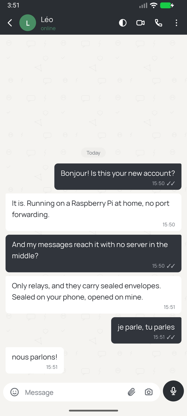 A Parlons! conversation between Camille and Léo, with grey and double delivery ticks